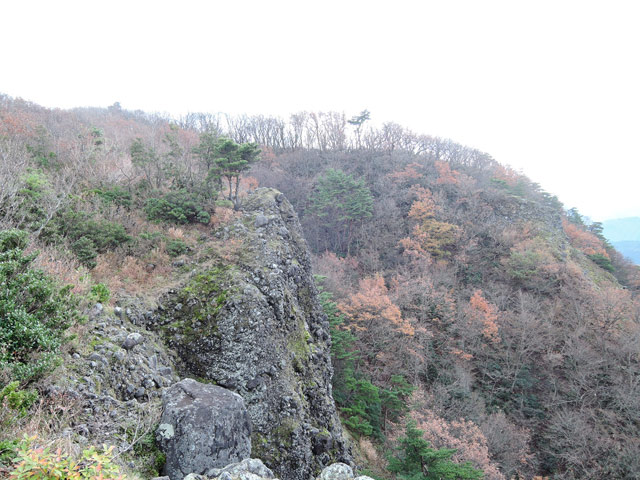 c0116856_1515487.jpg
