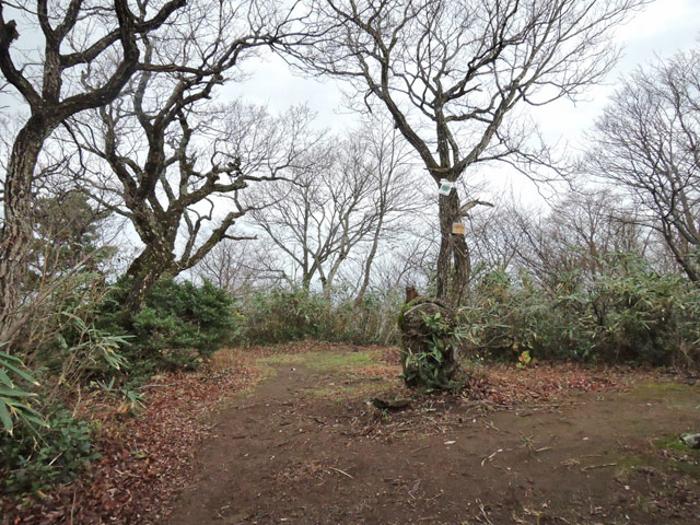 c0116856_15162834.jpg