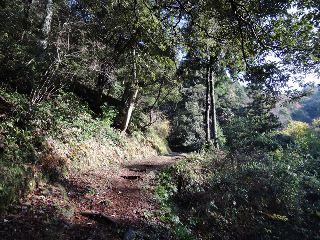 c0116856_15521371.jpg