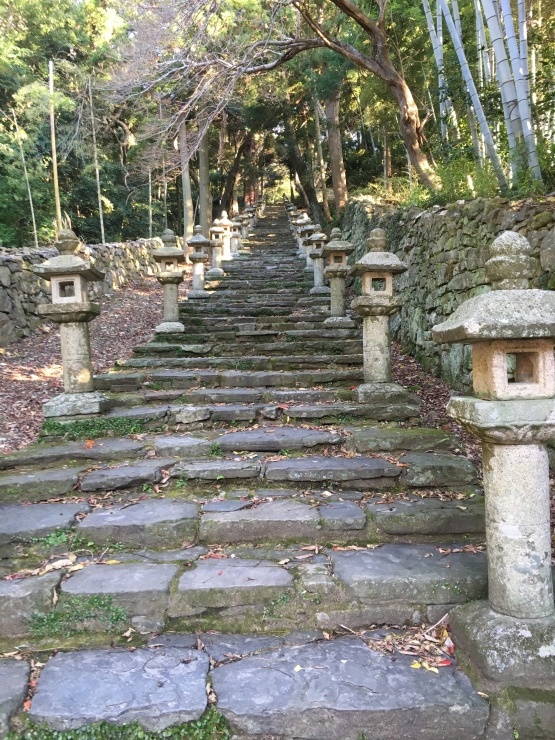 b0061261_21360719.jpeg