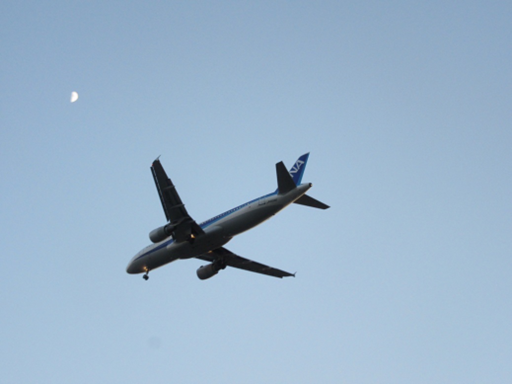 f0113862_2145137.jpg