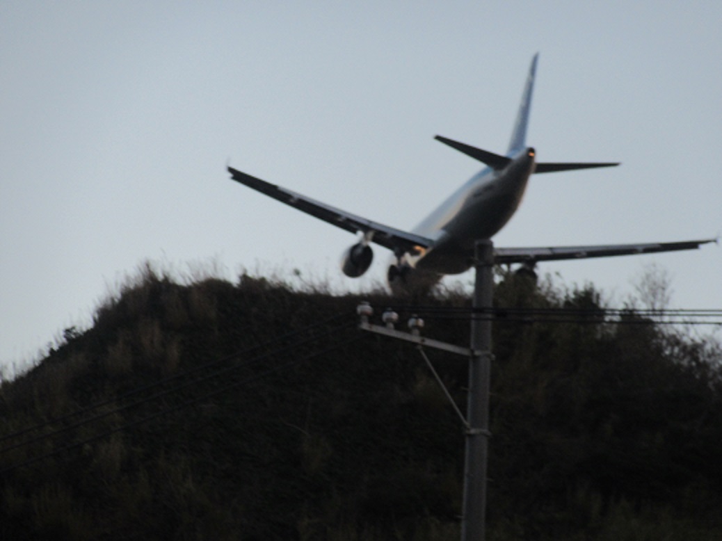 f0113862_2165347.jpg