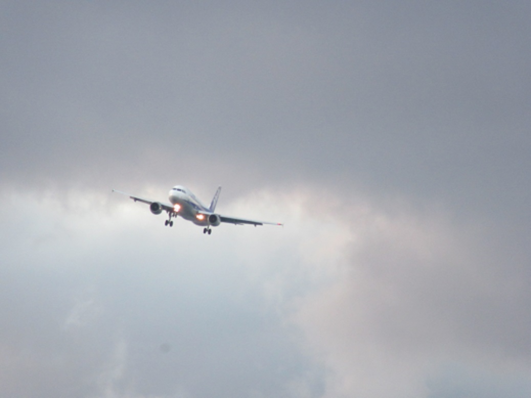 f0113862_218643.jpg