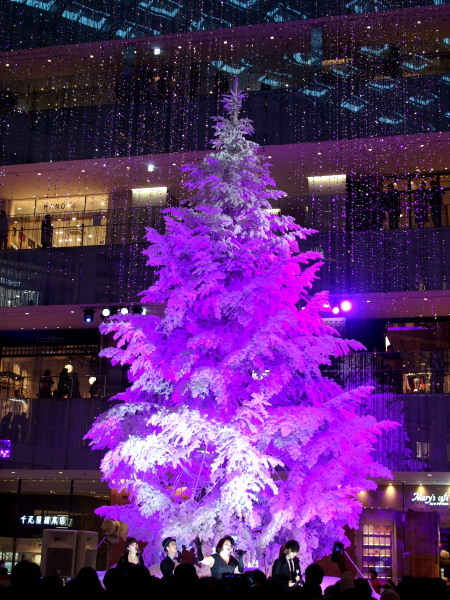 c0122670_21425322.jpg