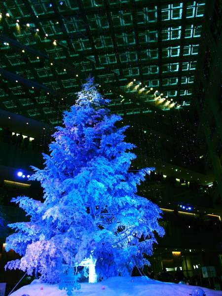 c0122670_21425351.jpg
