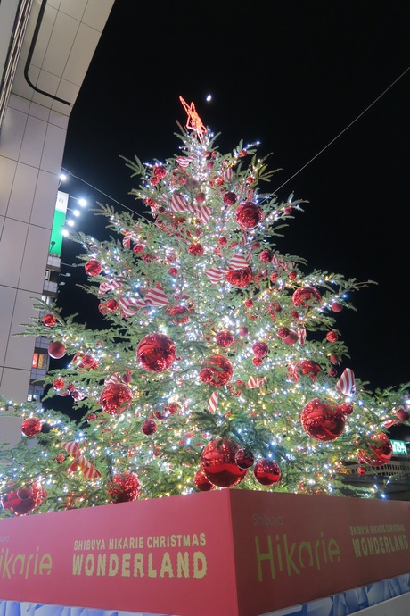 e0292172_21395774.jpg