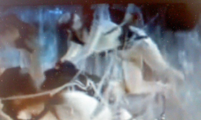 c0069380_1337957.jpg