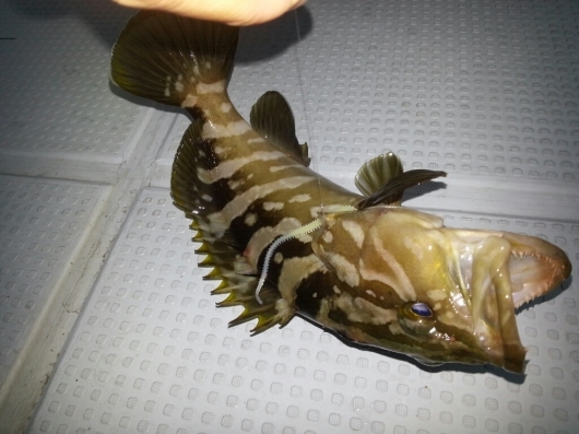 f0183484_09344703.jpg