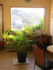 e0130185_18462033.jpg