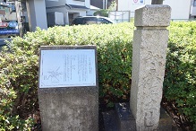 d0183387_18351518.jpg