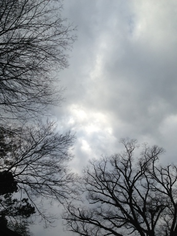 f0250403_15483050.jpg
