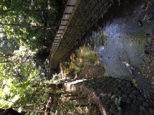 c0064706_1327175.jpg