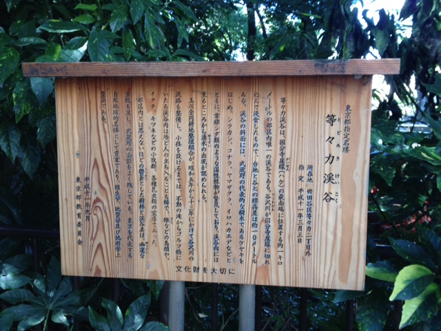 c0064706_1327210.jpg