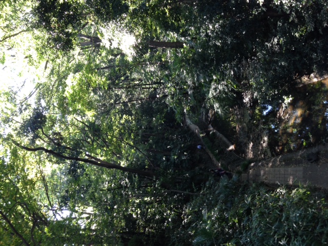 c0064706_13283068.jpg