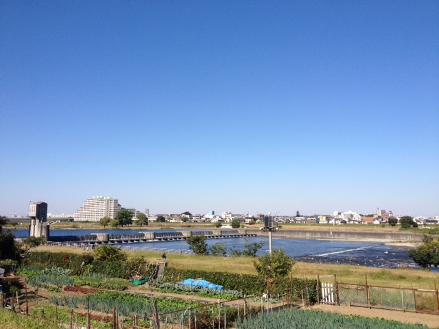 c0064706_1330392.jpg