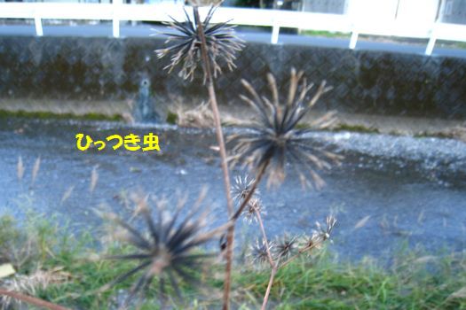 f0084422_22473157.jpg