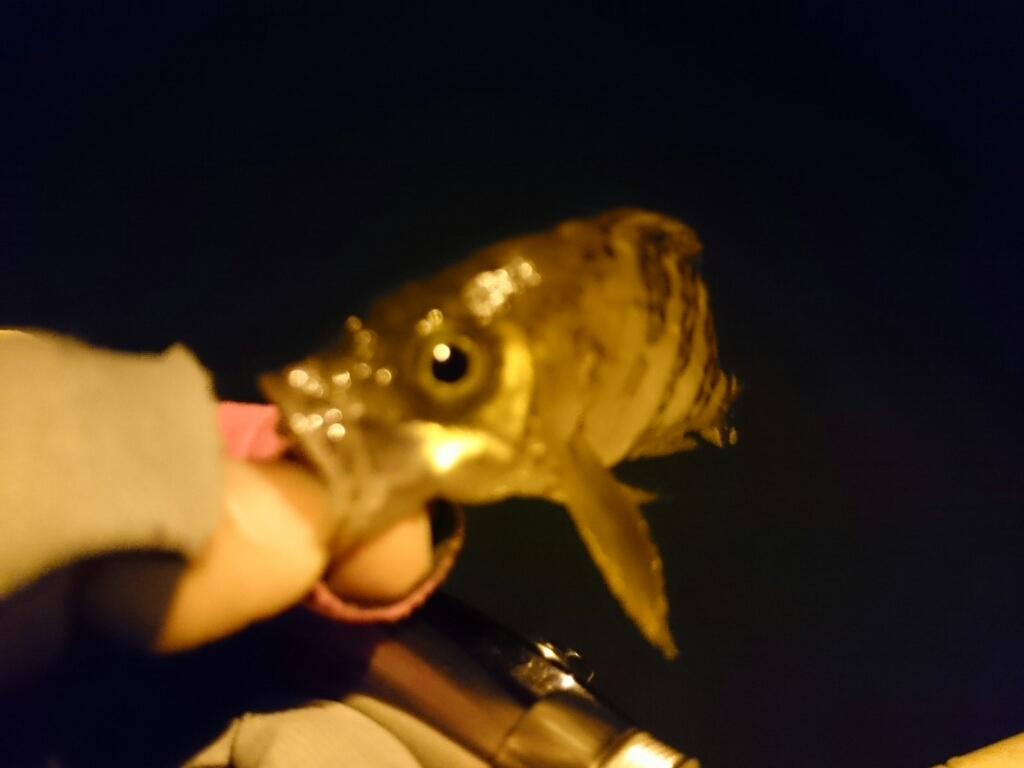 b0259124_12224580.jpg