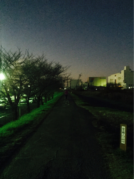 b0203925_20262457.jpg