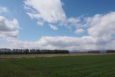 b0042334_1112295.jpg