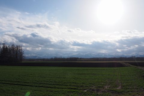 b0042334_11364941.jpg