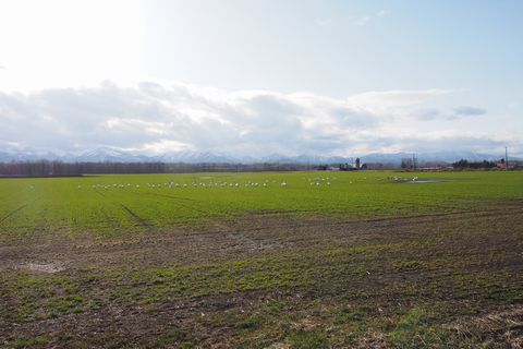 b0042334_11365992.jpg