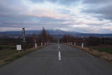 b0042334_11403431.jpg