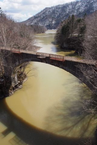 b0042334_1154073.jpg