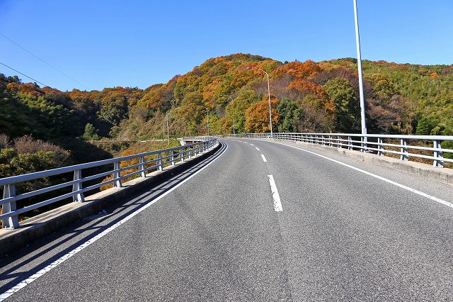 a0242438_18442799.jpg