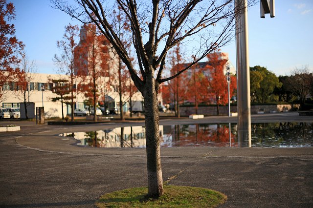a0242438_18462946.jpg