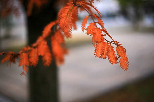 a0242438_18473749.jpg