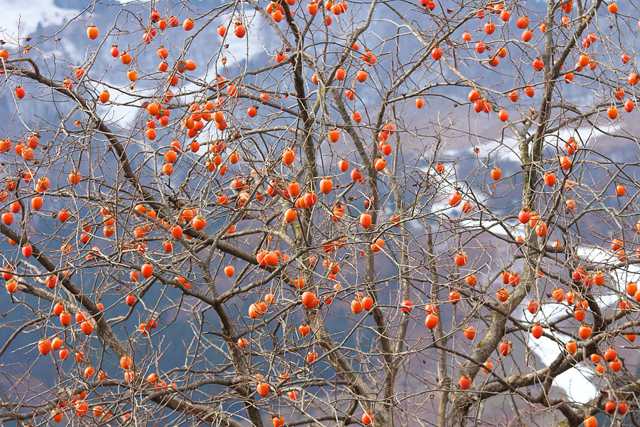 c0067040_22132552.jpg