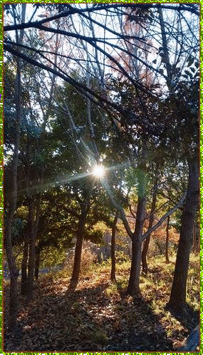b0133752_2114306.gif
