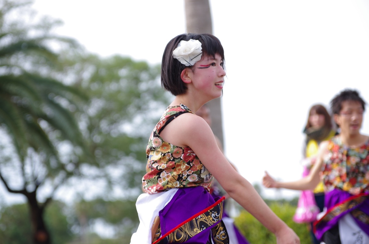 a0009554_1216499.jpg