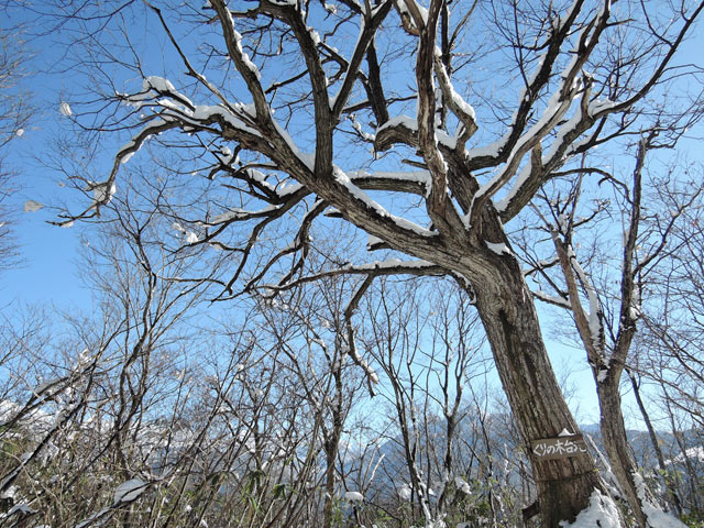 c0116856_13404348.jpg