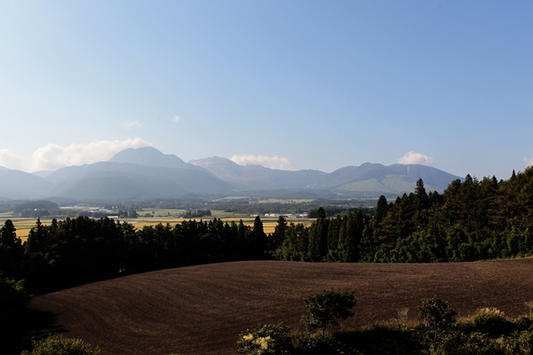 f0268259_2144742.jpg