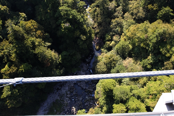 f0268259_2150165.jpg