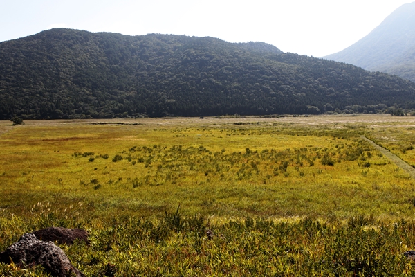 f0268259_21544142.jpg