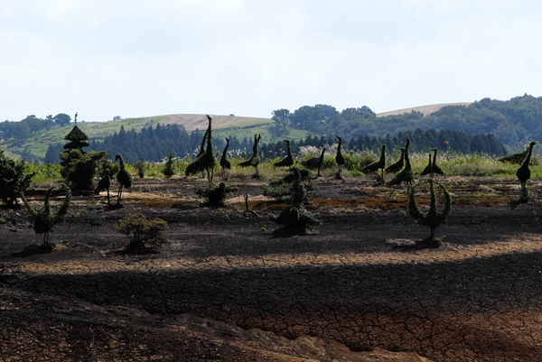 f0268259_2158030.jpg