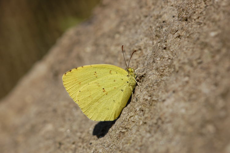 b0167762_22182429.jpg