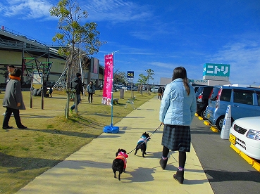 e0002466_1314643.jpg