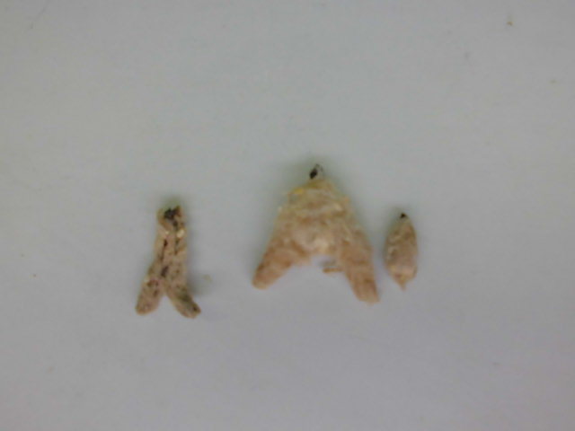 f0318967_00253758.jpg