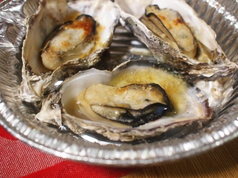 e0045768_2051520.jpg