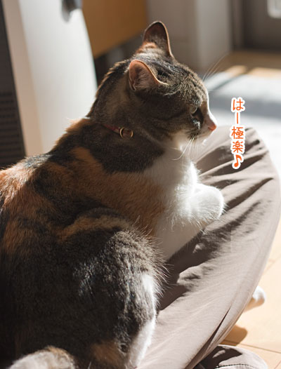 a0119470_11341212.jpg