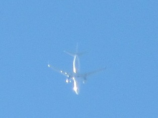 d0109373_285950.jpg
