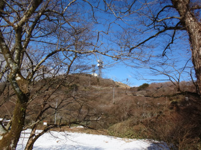 d0182075_4271924.jpg