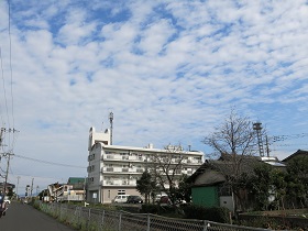 e0130185_11271555.jpg
