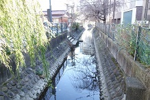 d0183387_10503252.jpg