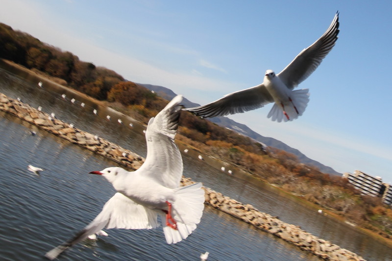a0325492_22280229.jpg