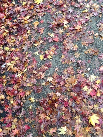 f0250403_18382610.jpg