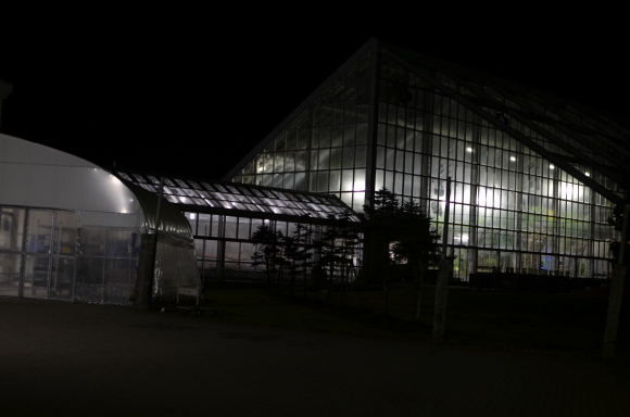 c0336907_23343712.jpg